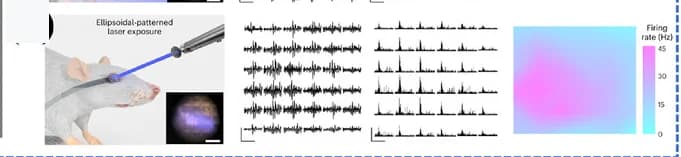 Open access visualization of Line Plot, Photo, Microscopy, Heatmap, In Vivo