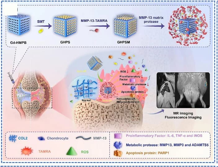 Open access visualization of Workflow, Illustration, Microscopy, Photo, GHPSM