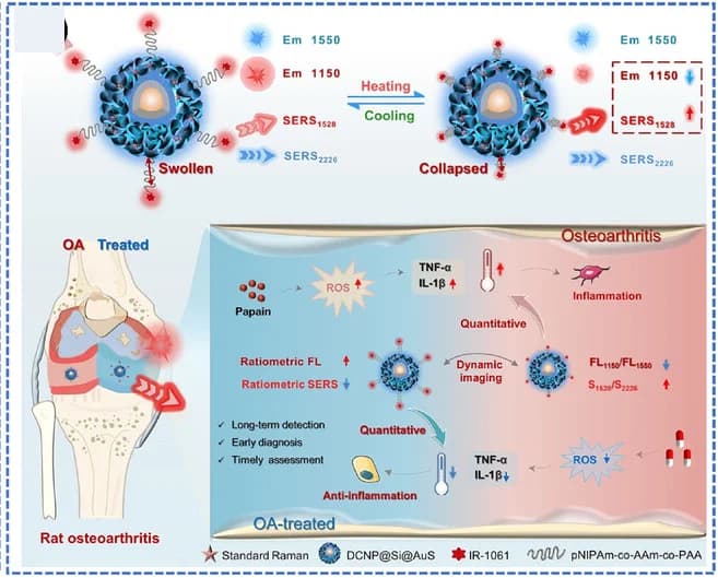 Open access visualization of Workflow, Illustration, Temperature-Responsive Mechanism, DCNP@Si@AuNSP-PNAP-I, Nanoprobe