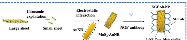 Open access visualization of Workflow, Illustration, Anti-NGF-MoS2-AuNPs, Nanocomplex