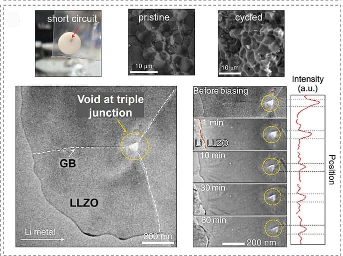 Open access visualization of Microscopy, Line Plot, Li Dendrite, Dendrite Formation, Grain Boundaries