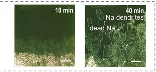 Open access visualization of Microscopy, Na Dendrite Growth, In Situ Observation
