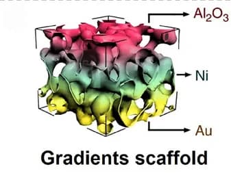Open access visualization of 3D Plot, Conductivity, Lithophilic Gradient Structures, Li Deposition, Cycle Stability