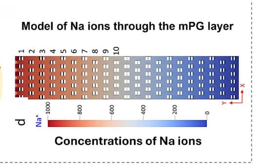 Open access visualization of Heatmap, Sodium Ions, mPG Layer, Ion Concentration