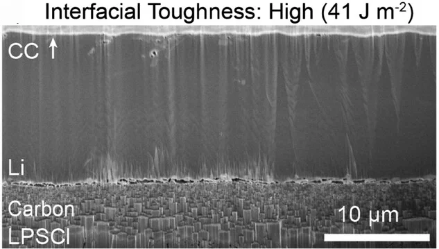 Open access visualization of Microscopy, PFIB-SEM Images, Li Plating, Amorphous Carbon Interlayers, Solid Electrolyte