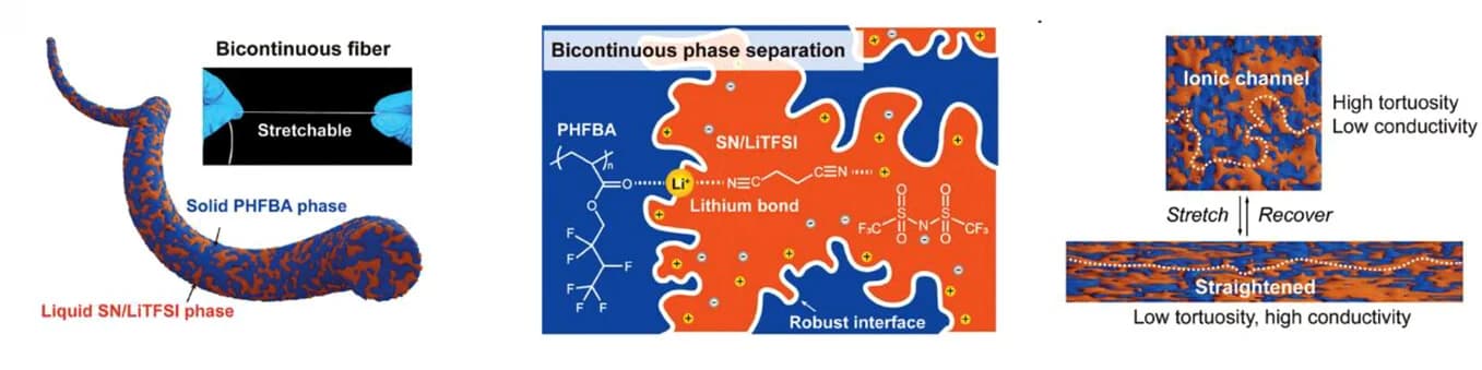 Open access visualization of Workflow, Illustration, Chemical Structure, Stretchable Bicontinuous Fiber, Polymerization
