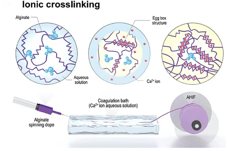 Open access visualization of Workflow, Illustration, Ionic chelation, Wet-spinning, Alginate