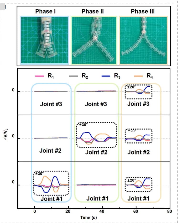 Open access visualization of Line Plot, Posture Recognition, Continuum Robots, E-armor