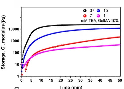 Open access visualization of Line Plot, Scatter Plot, TEA, Storage Modulus