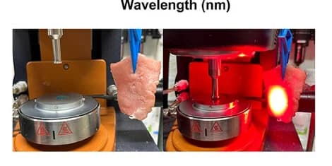 Open access visualization of Photo, Chicken Breast, LED, Photorheology Measurement