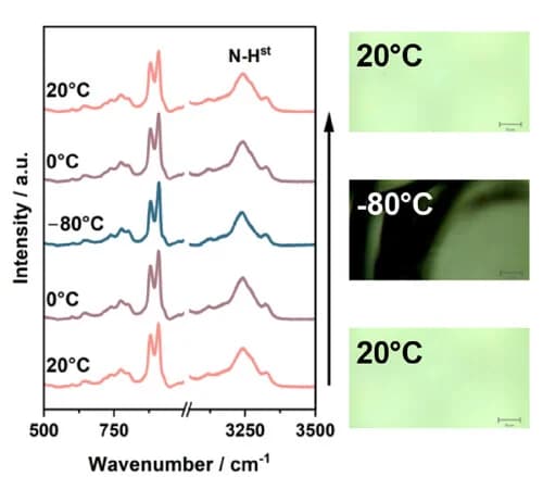 Open access visualization of Line Plot, Photo, Microscopy, In Situ Raman Spectra, TBABH-AB