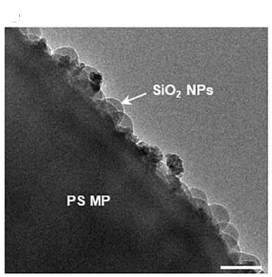 Open access visualization of Microscopy, TEM Images, SiO2/PS HSP