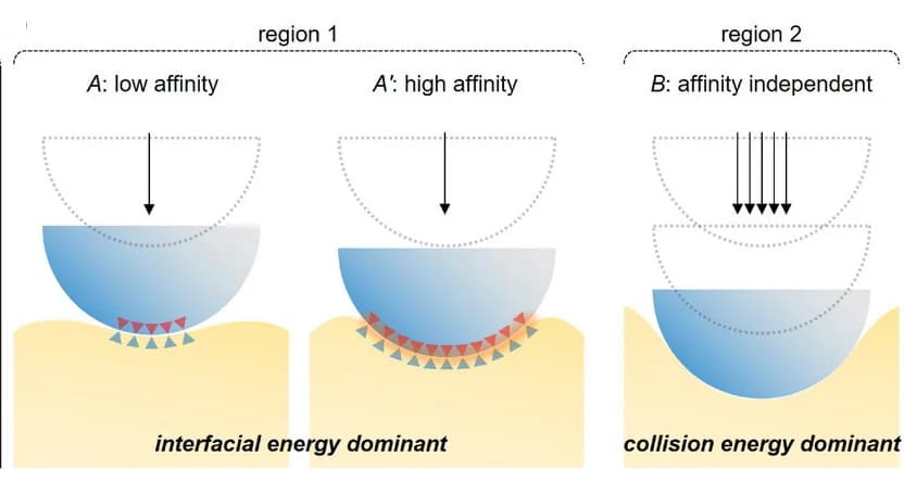 Open access visualization of Illustration, SiO2NPs, PS Surface, Adhesion, Interfacial Energy