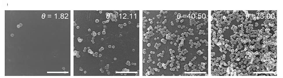 Open access visualization of Microscopy, SEM Images, SiO2NPs, PS MP, Surface Coverage