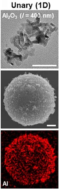 Open access visualization of Microscopy, TEM Images, SEM Images, EDS Elemental Mapping Images, HSPs