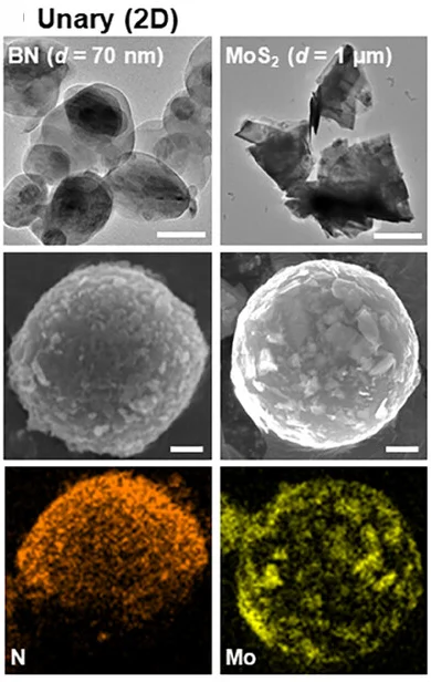 Open access visualization of Microscopy, TEM Images, SEM Images, EDS Elemental Mapping Images, HSPs