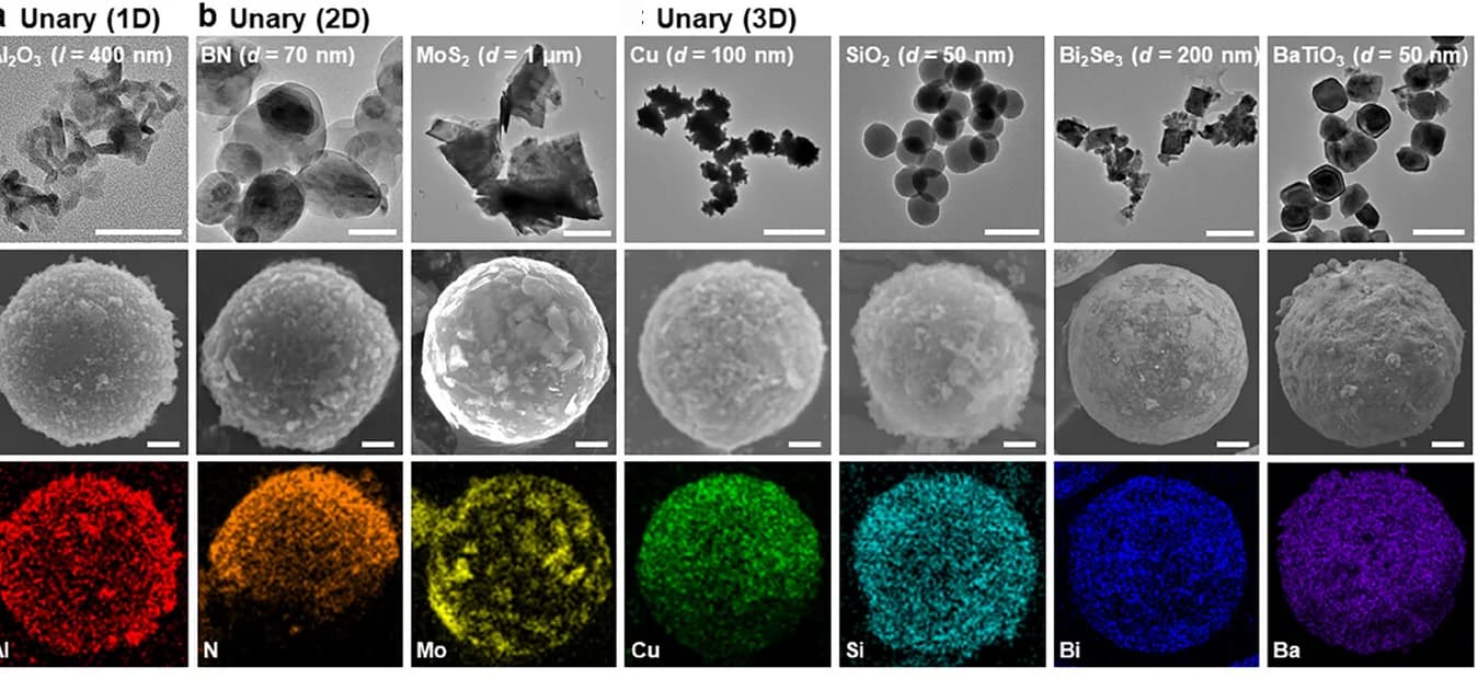 Open access visualization of Microscopy, Photo, TEM Images, SEM Images, EDS Elemental Mapping Images