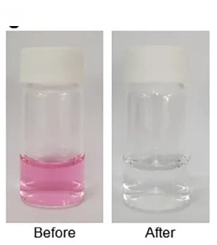 Open access visualization of Photo, As(III) Solution, Treatment, HSPs, Photograph