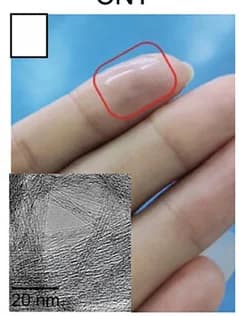 Open access visualization of Photo, Microscopy, Optical Image, Stretchable ACNT-TFTs, Finger