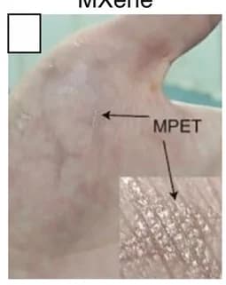 Open access visualization of Photo, Microscopy, Ultra-thin, MXene Film