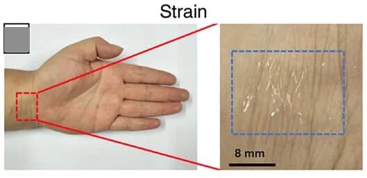 Open access visualization of Photo, Strain Sensor, Wrist, Photograph