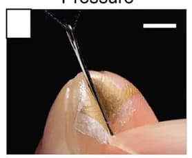 Open access visualization of Photo, Nanomesh Pressure Sensor, Finger Manipulation
