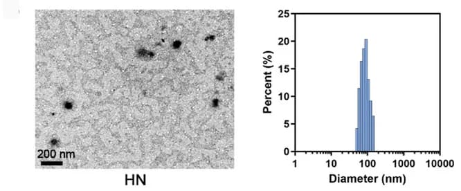 Open access visualization of Microscopy, Histogram, HN