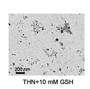 Open access visualization of Microscopy, TEM Image, THN, GSH Treatment