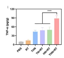 Open access visualization of Bar Plot, Error Bars, ELISA, IL-6, TGF-β