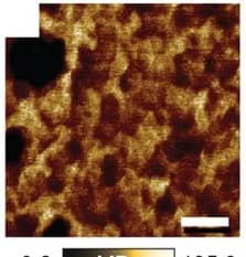 Open access visualization of Microscopy, AFM, Nanostructured Materials, Chain Length, PBAn-CTA