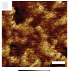 Open access visualization of Microscopy, AFM, Nanostructured Materials, Chain Length, PBAn-CTA