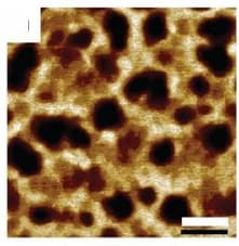 Open access visualization of Microscopy, AFM, Nanostructured Materials, Chain Length, PBAn-CTA
