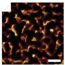 Open access visualization of Microscopy, AFM, Nanostructured Materials, Chain Length, PBAn-CTA