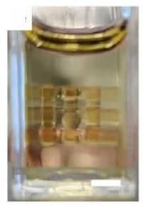 Open access visualization of Photo, Printed Objects, Postprocessing