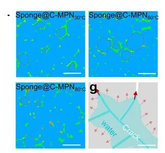 Open access visualization of Microscopy, Illustration, High-Resolution Micro-CT Images, Sponge@C-MPNs, Cracks