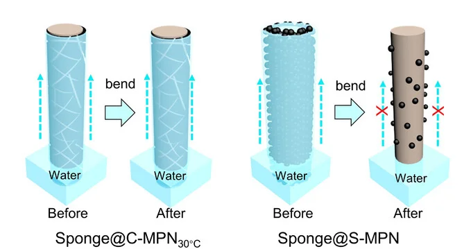 Open access visualization of Illustration, Workflow, Schematic Diagram, Confinement Capillarity, Sponge@C-MPN30C