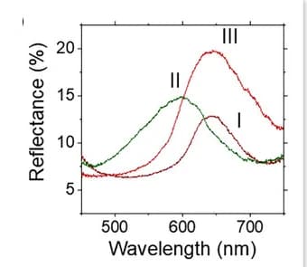 Open access visualization of Line Plot, Reflectance, CLCE