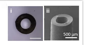 Open access visualization of Microscopy, Photo, Optical Microscopy, Scanning Electron Microscopy, CLCE