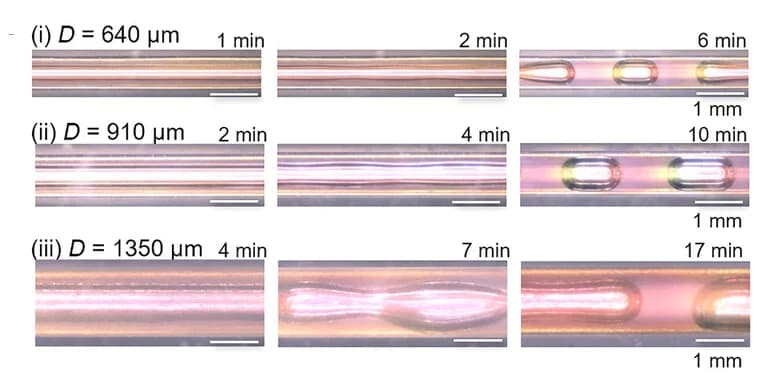 Open access visualization of Microscopy, Photo, Time-Lapse Reflective OM Images, Air Injection, PDMS Channels