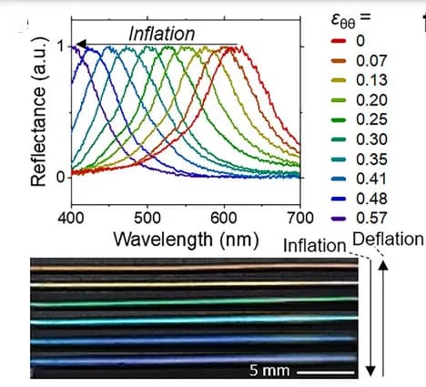 Open access visualization of Line Plot, Photo, Reflectance Spectra, CLCE Tubes, Deformation