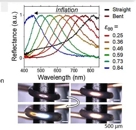 Open access visualization of Line Plot, Photo, Reflectance Spectra, CLCE Tubes, Deformation
