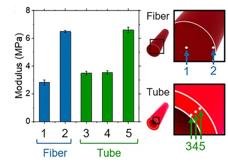 Open access visualization of Bar Plot, Error Bars, Illustration, Indentation Moduli, Cross-Section