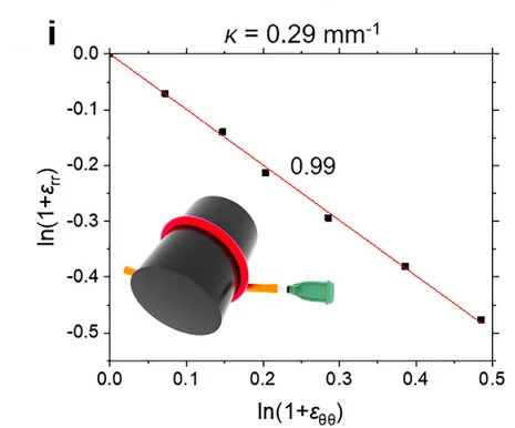 Open access visualization of Scatter Plot, Regression Plot, Illustration, Strain Relationship, Bent CLCE Tubes