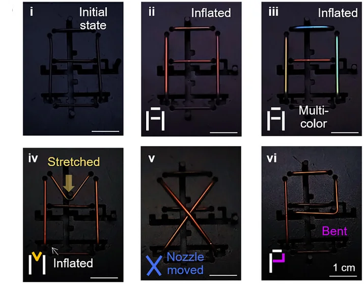Open access visualization of Photo, NIR Colors, Inflation, Stretching, Nozzle Movement