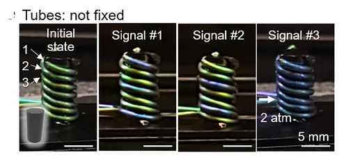 Open access visualization of Photo, 3D Printed Cylinder, Photonic Tubes, Inflation, Signals