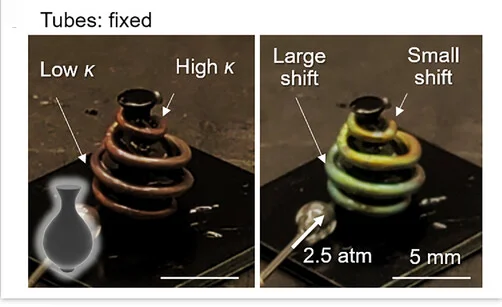 Open access visualization of Photo, 3D Printed Vase, CLCE Tube, Inflation