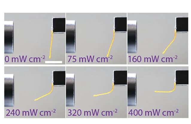 Open access visualization of Photo, UV-Light-Induced Bending, LCE-Azo 30%, Light Intensities
