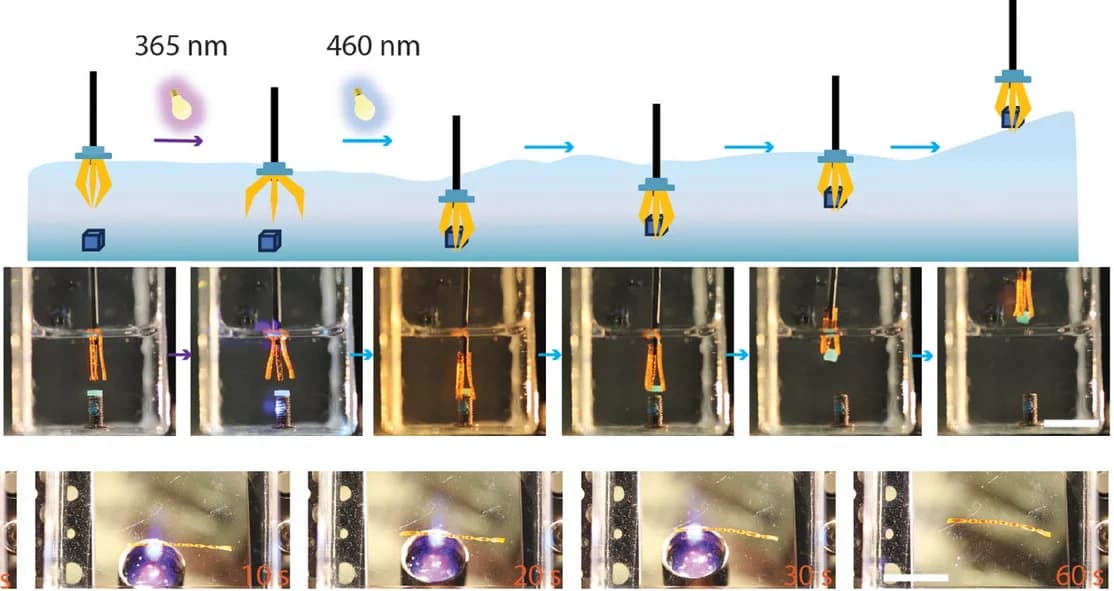 Open access visualization of Workflow, Photo, Schematic Diagram, Underwater Gripping, UV Light