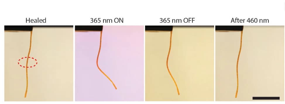 Open access visualization of Photo, Photochemical Actuation, Welding, LCE-Azo 15%