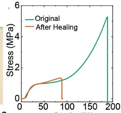Open access visualization of Line Plot, Tensile Stress-Strain Curves, Welding, LCE-Azo 15%